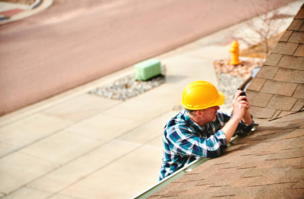 Best Roof Gutter Cleaning  in Iceville, AL