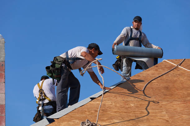 Best Storm Damage Roof Repair  in Iceville, AL
